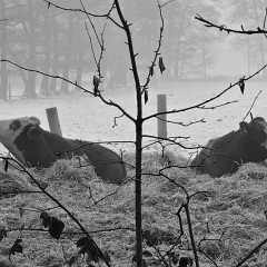 WhatsApp Image 2026-02-08 at 15.41.53_5